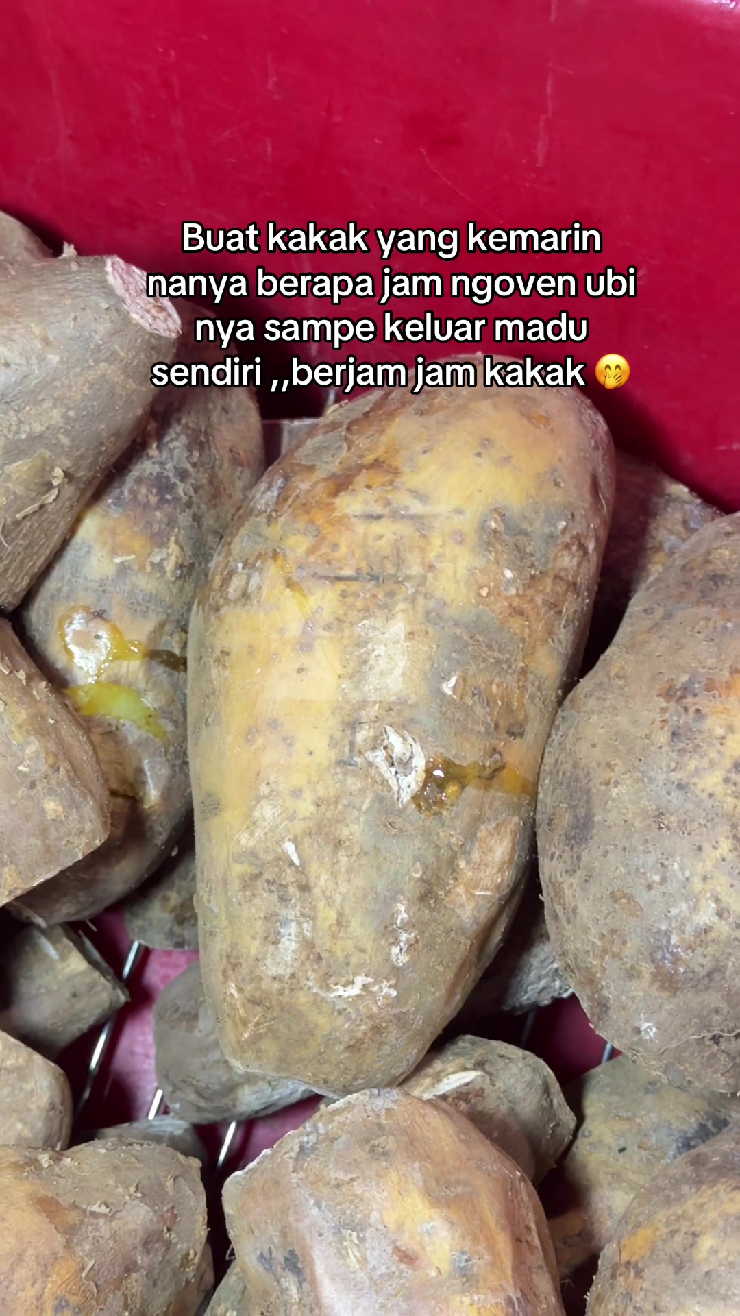 @ngubiskuy