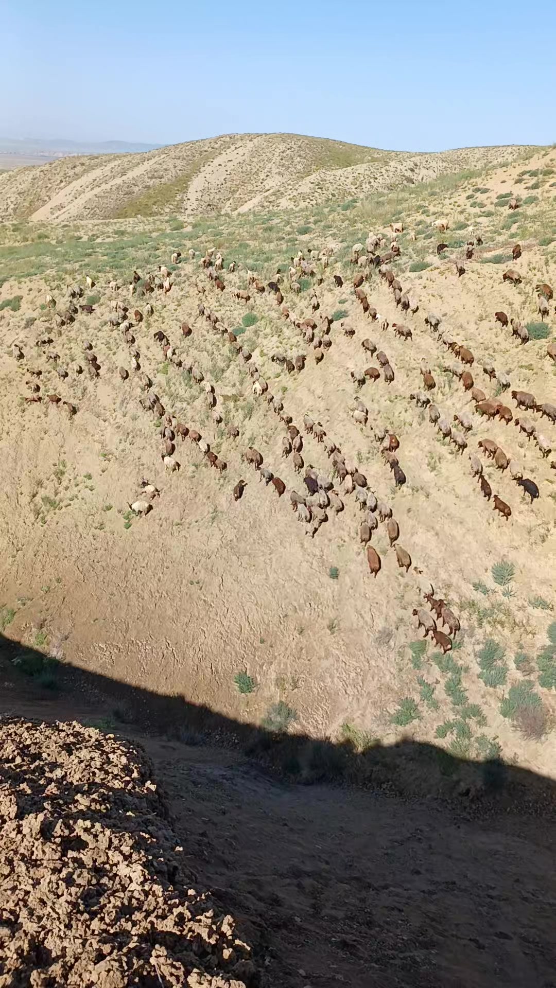 @Əlbəndə56