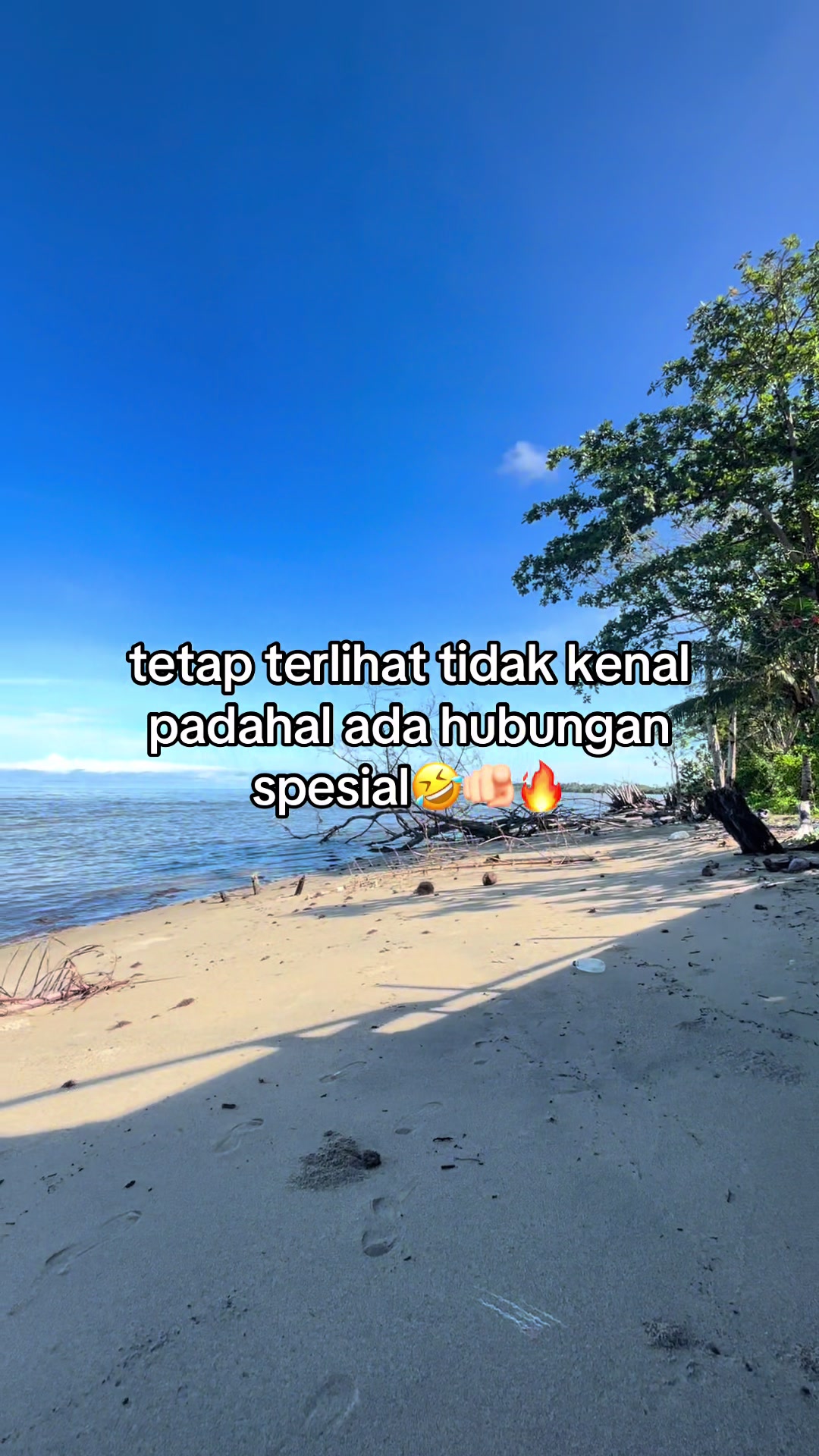 @Reza