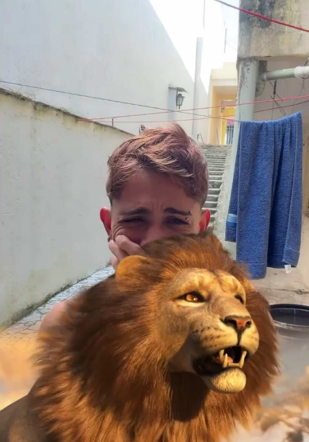 @Gemeostoledo