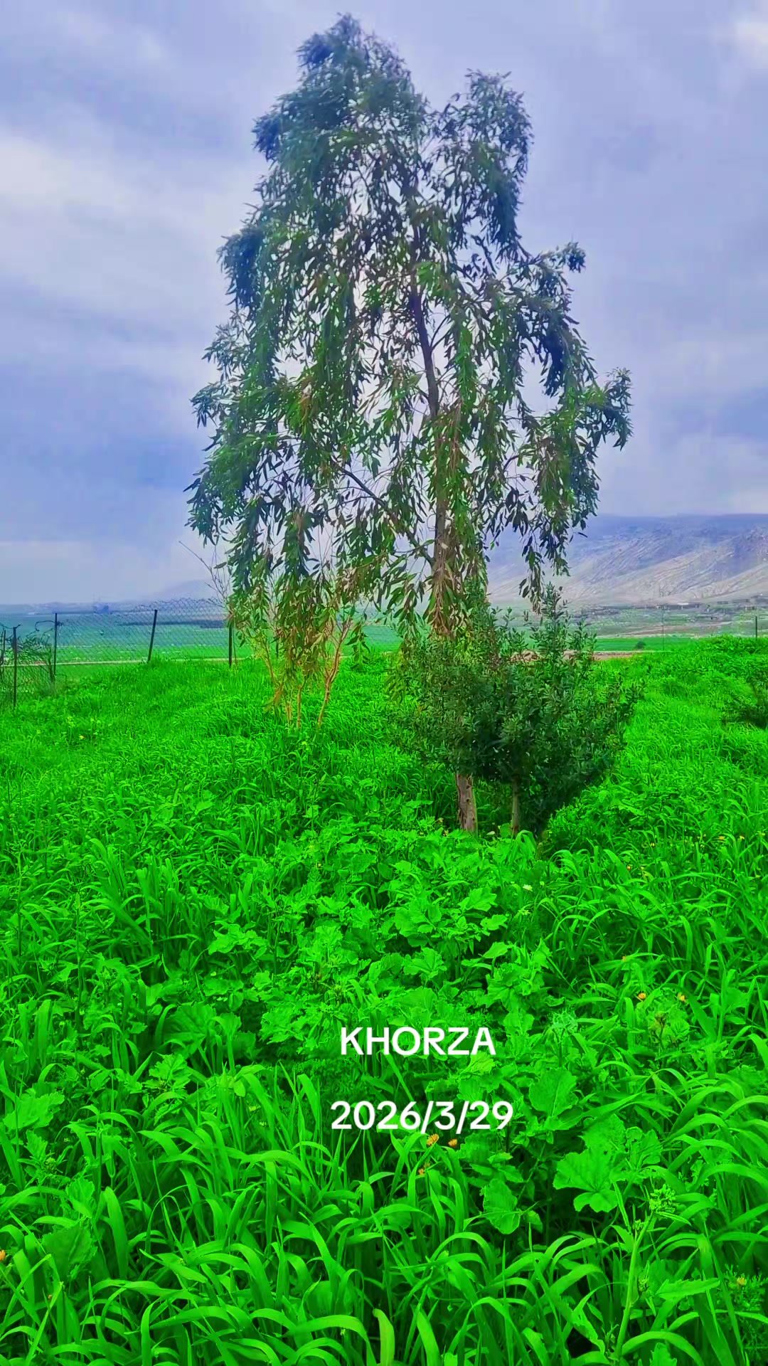 @YASER KHORZI Madridi