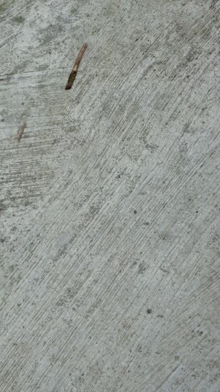 @MaaFer🐘