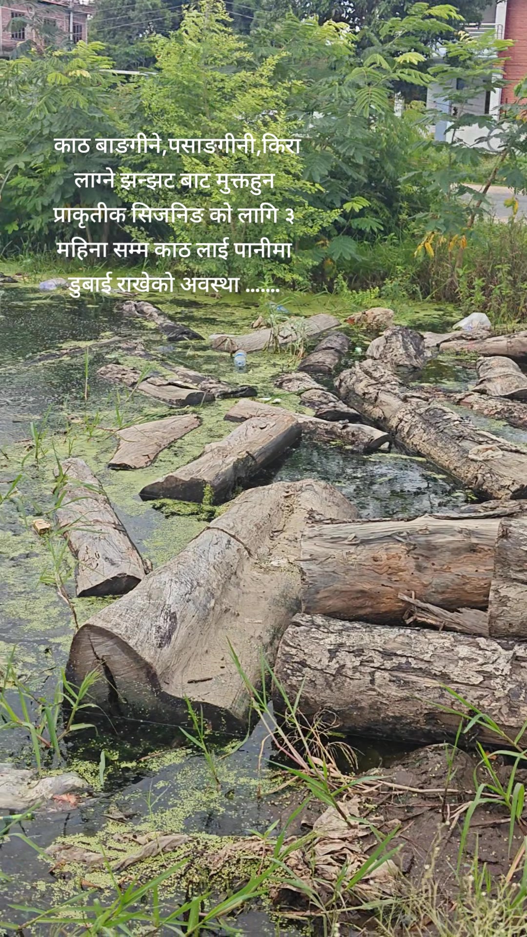 @Narayan Dangi