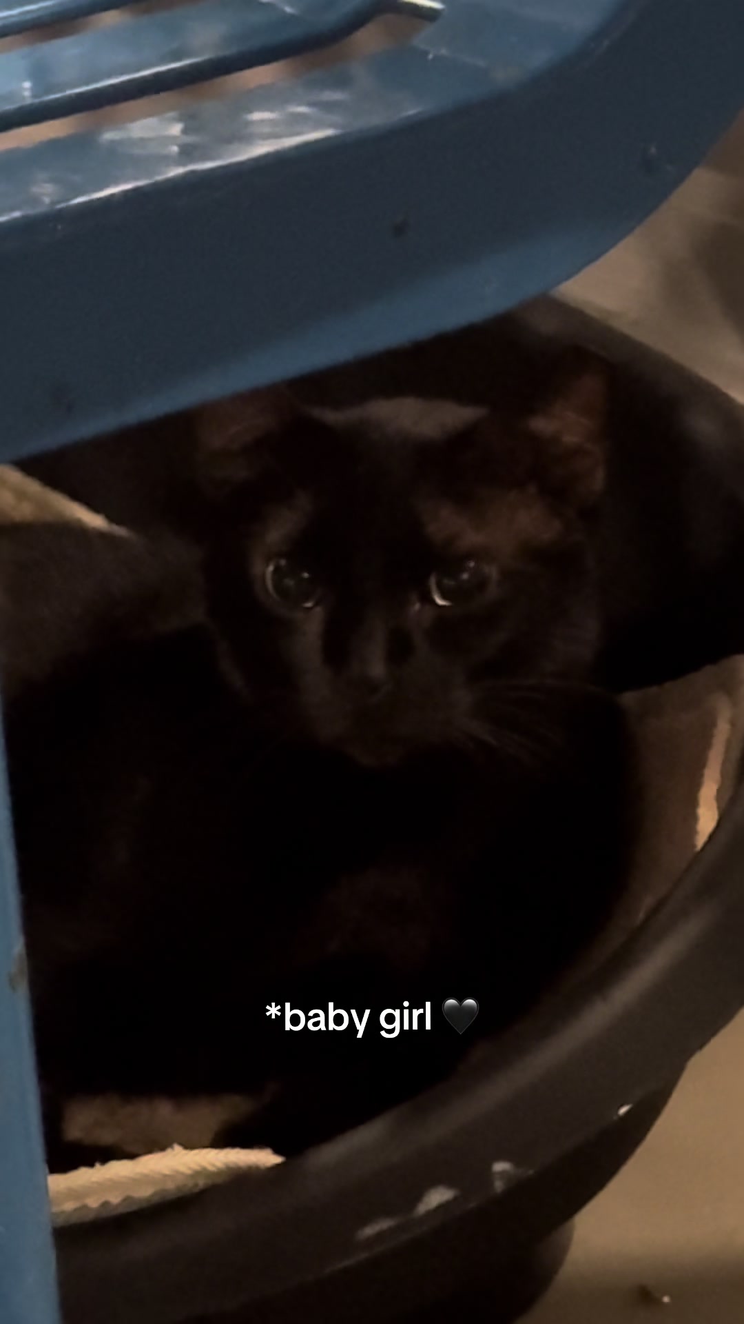 @𝖈𝖎𝖓 ₊˚.☪︎ ⁺₊