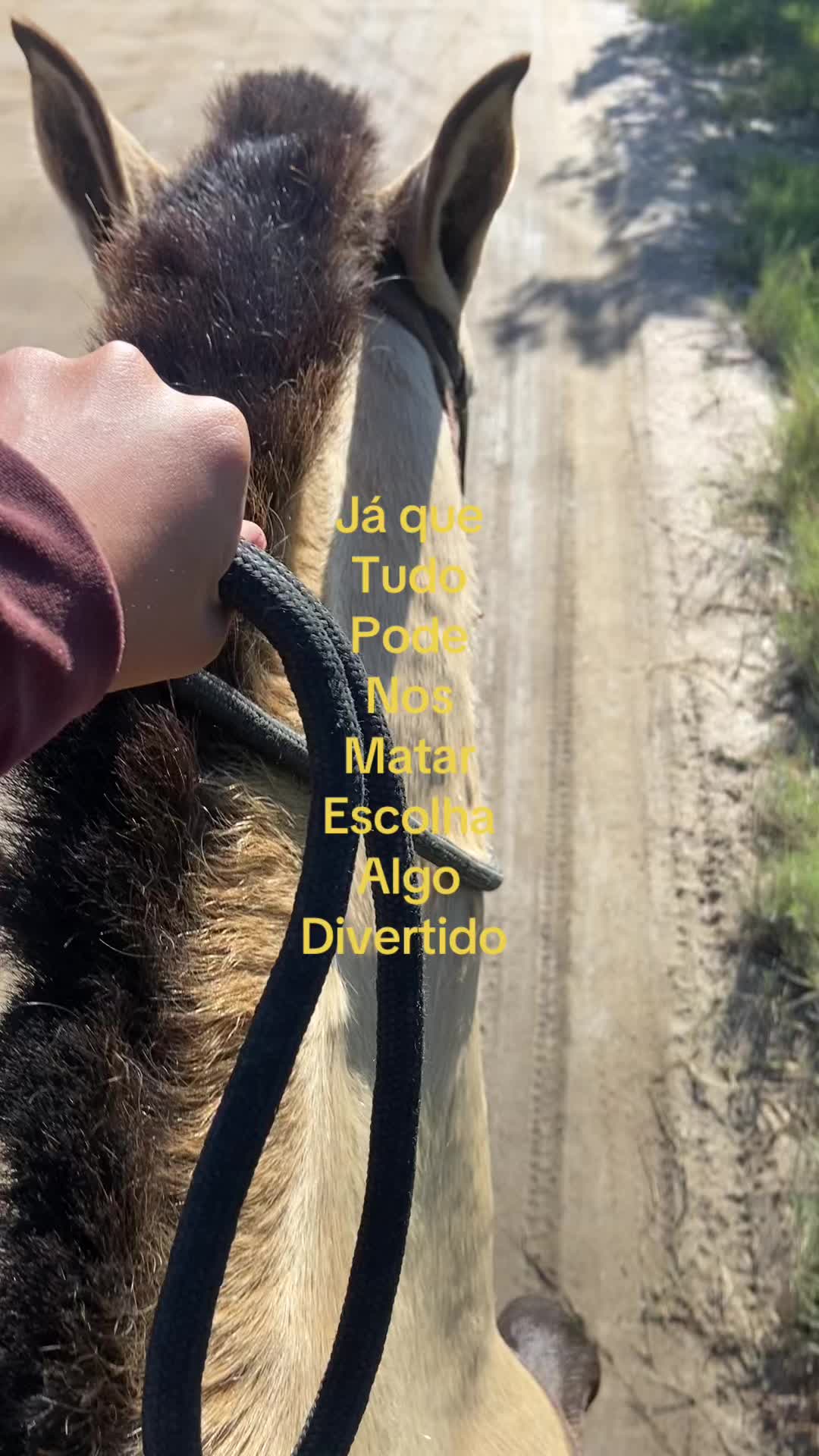 @Pᥱ́r᥆ᥣᥲ ᥱ ᥴᥲριtᥲ̃᥆