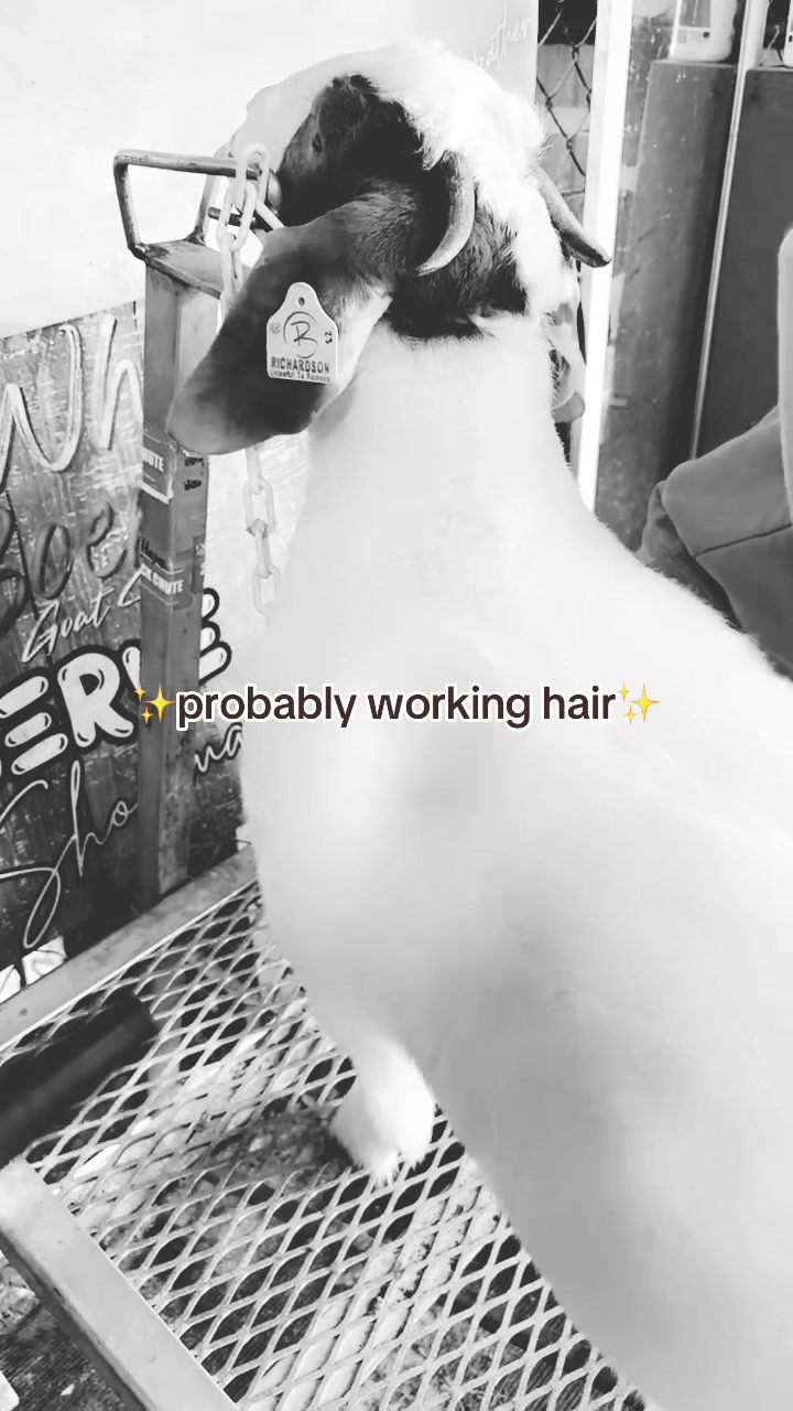 @Lara Hayes