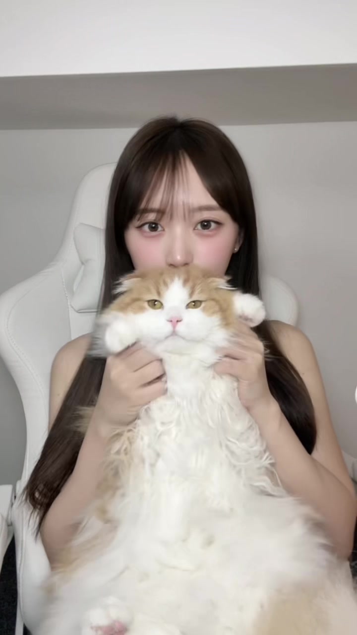 @こころ🐈💭