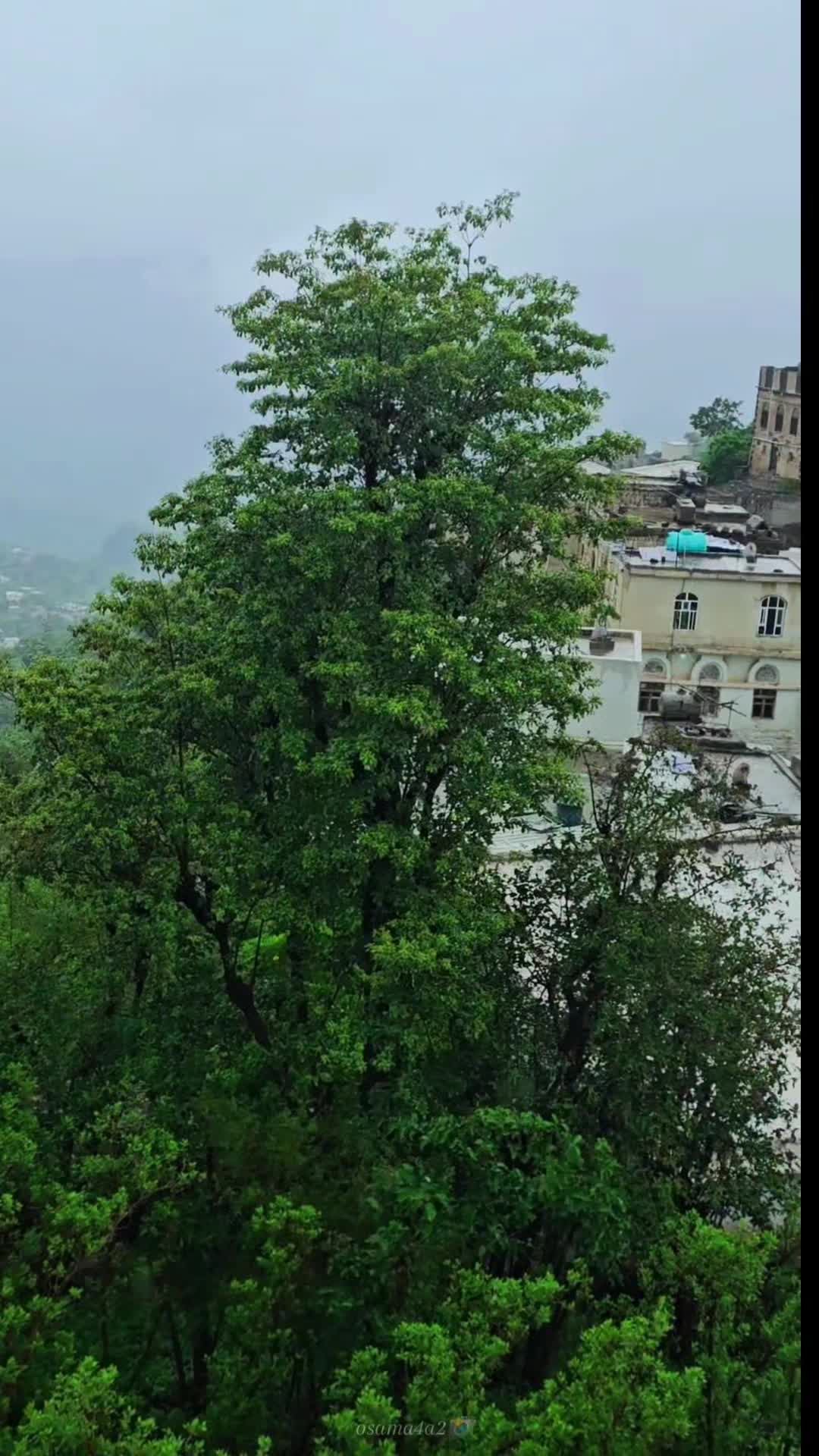 @آلُـِـِِـِِِـِِـِـﮩتـٌـٌٌـآر🌚