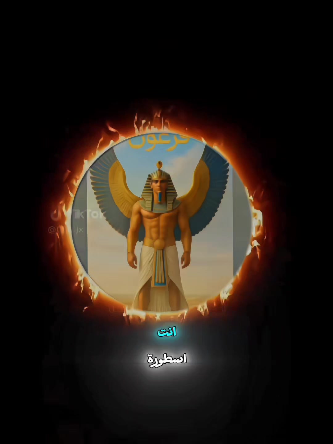 @ANIS المصمم