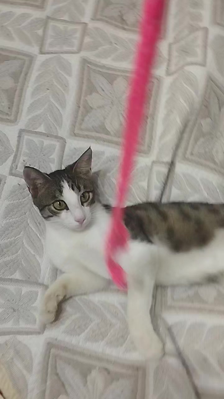 @miniş