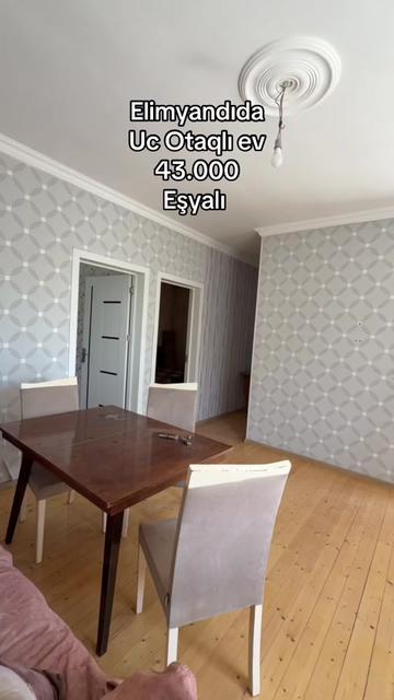 @vasif zeynalov