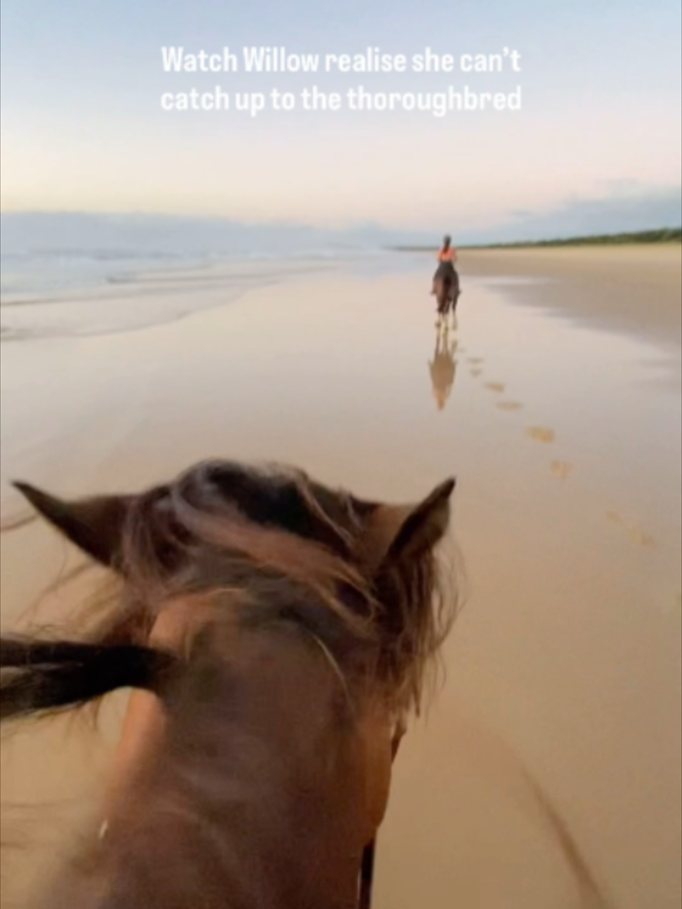 @Myhorsewillow