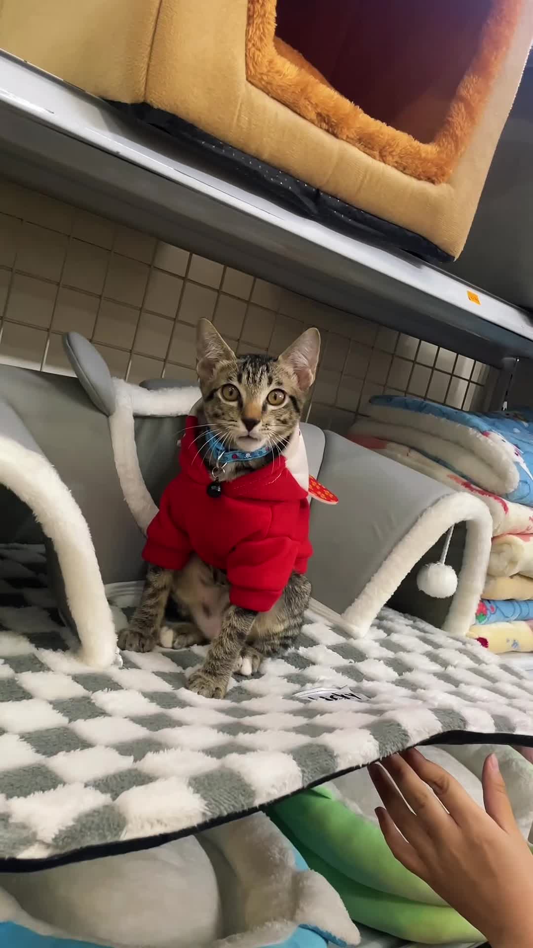 @TiTi Pet