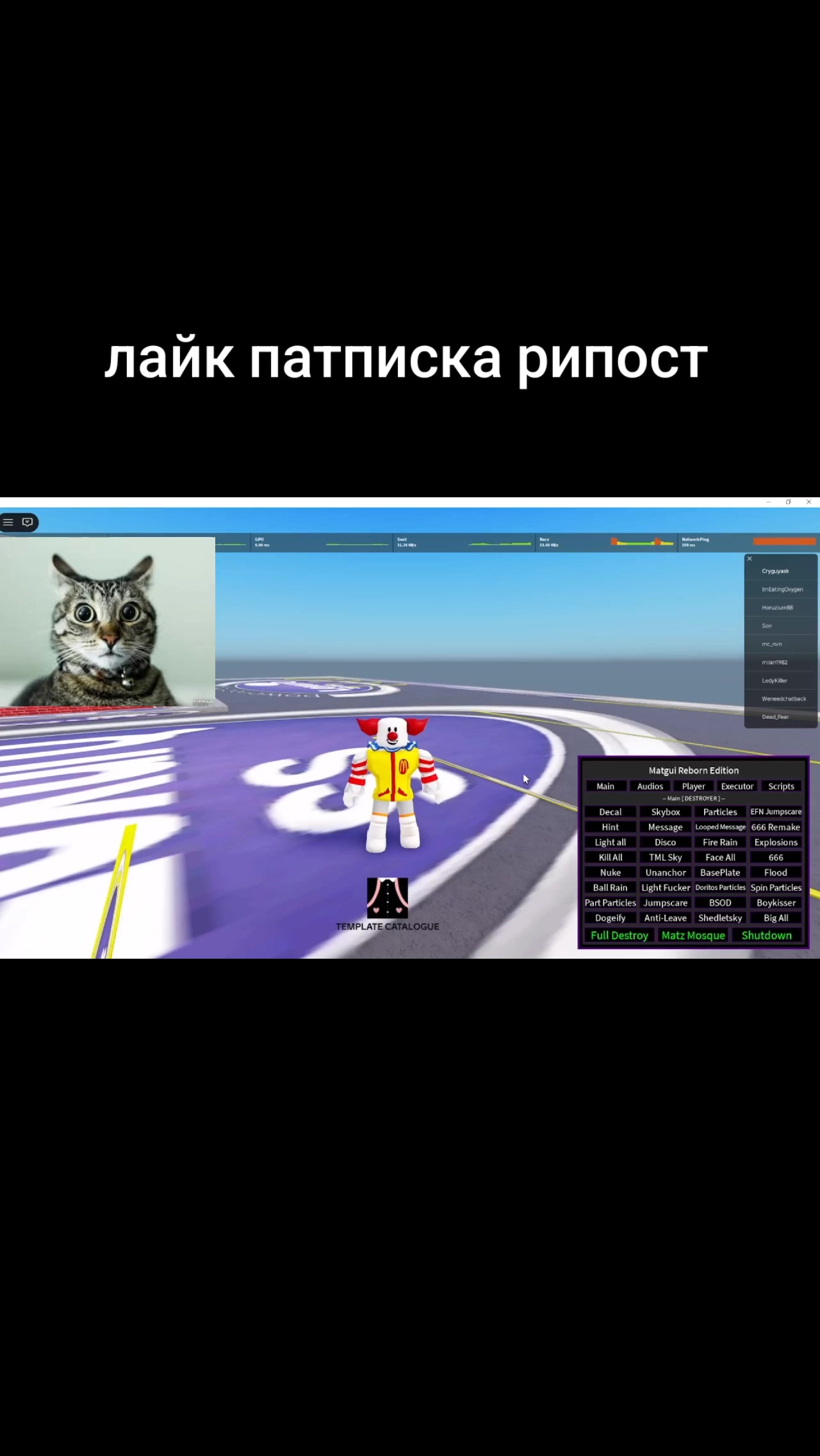 @kote