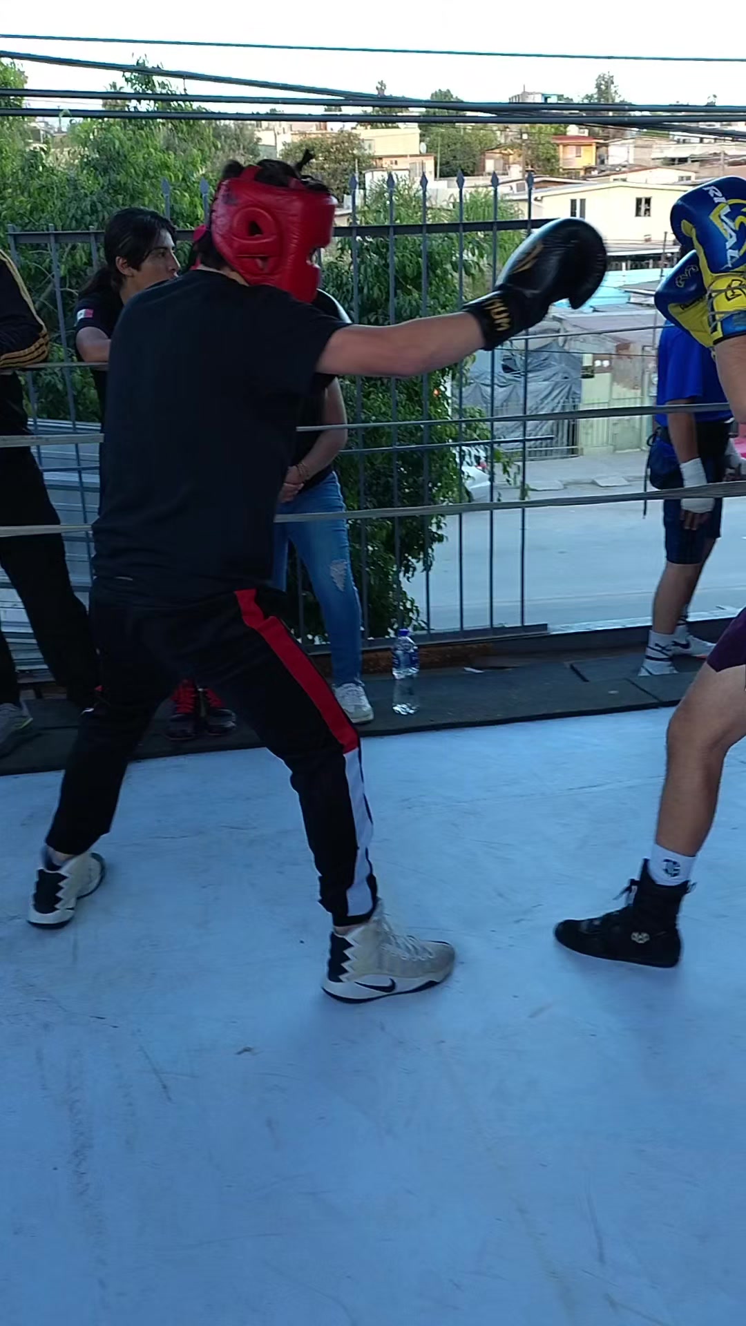 @palas boxing