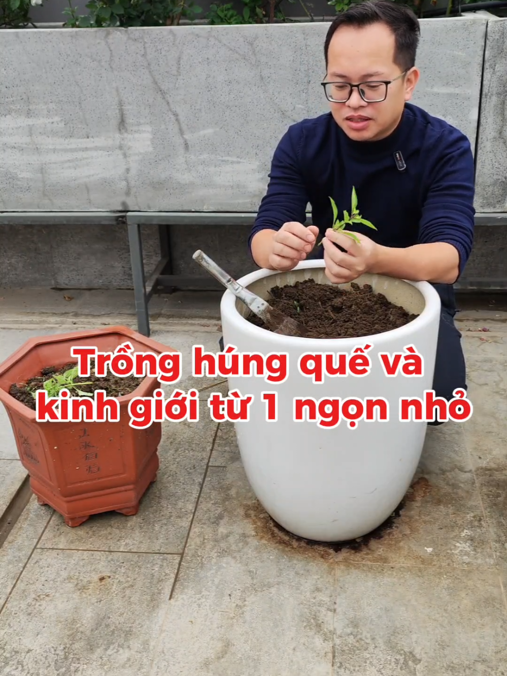 @Dược sĩ cỏ