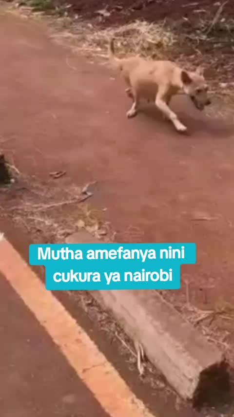@Aizzo wa kigooco🇺🇸🇰🇪