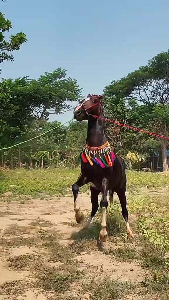 @☪️Aung Gyi♌️