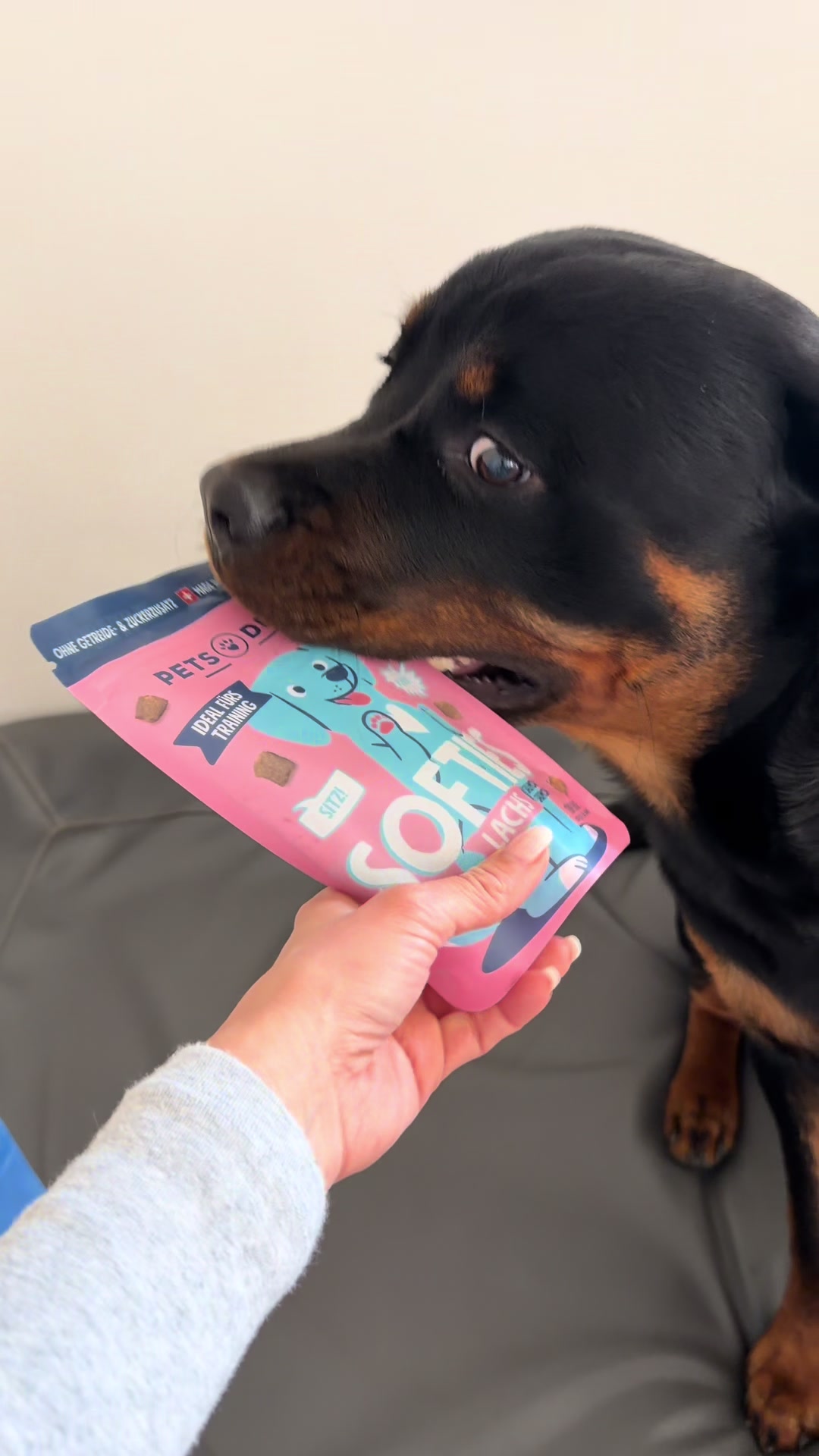 @JAGGER - the German Rottweiler