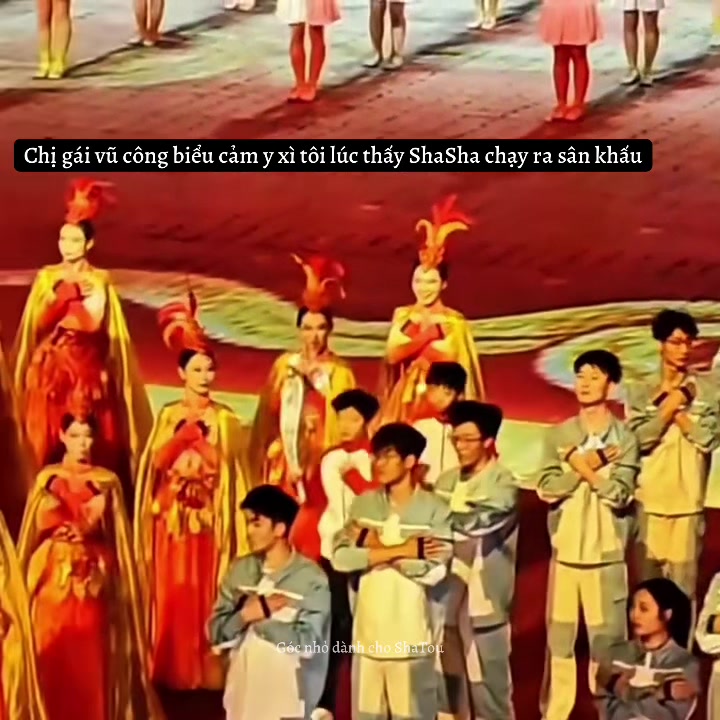 @Góc nhỏ dành cho ShaTou🦁🦈❤️