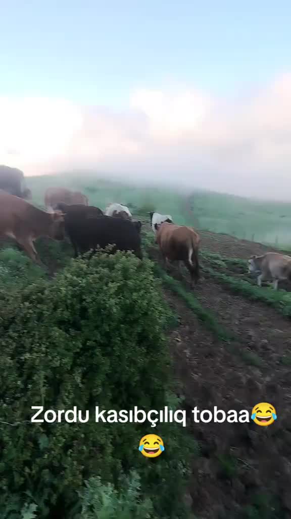 @МАСАЛЛЫ ХАКИМ РОССИЯ КАЗАНЬ