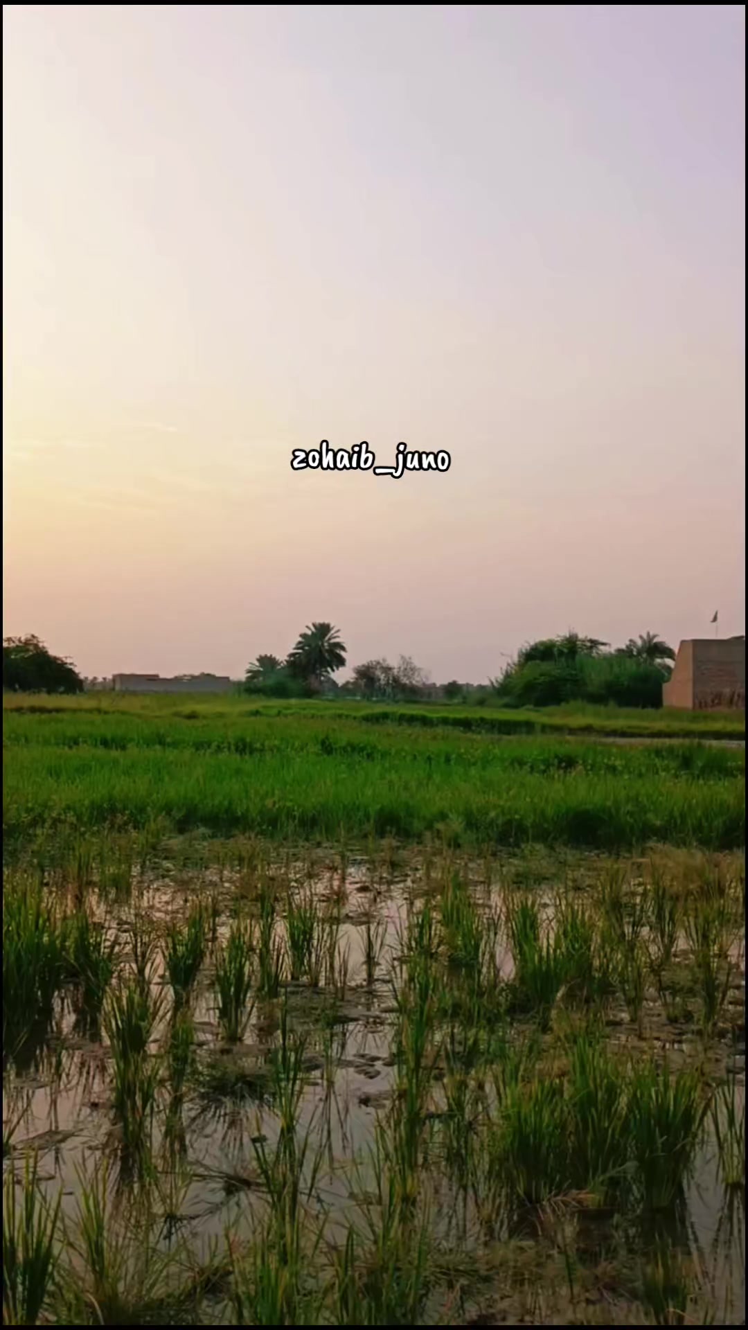 @ز..♡