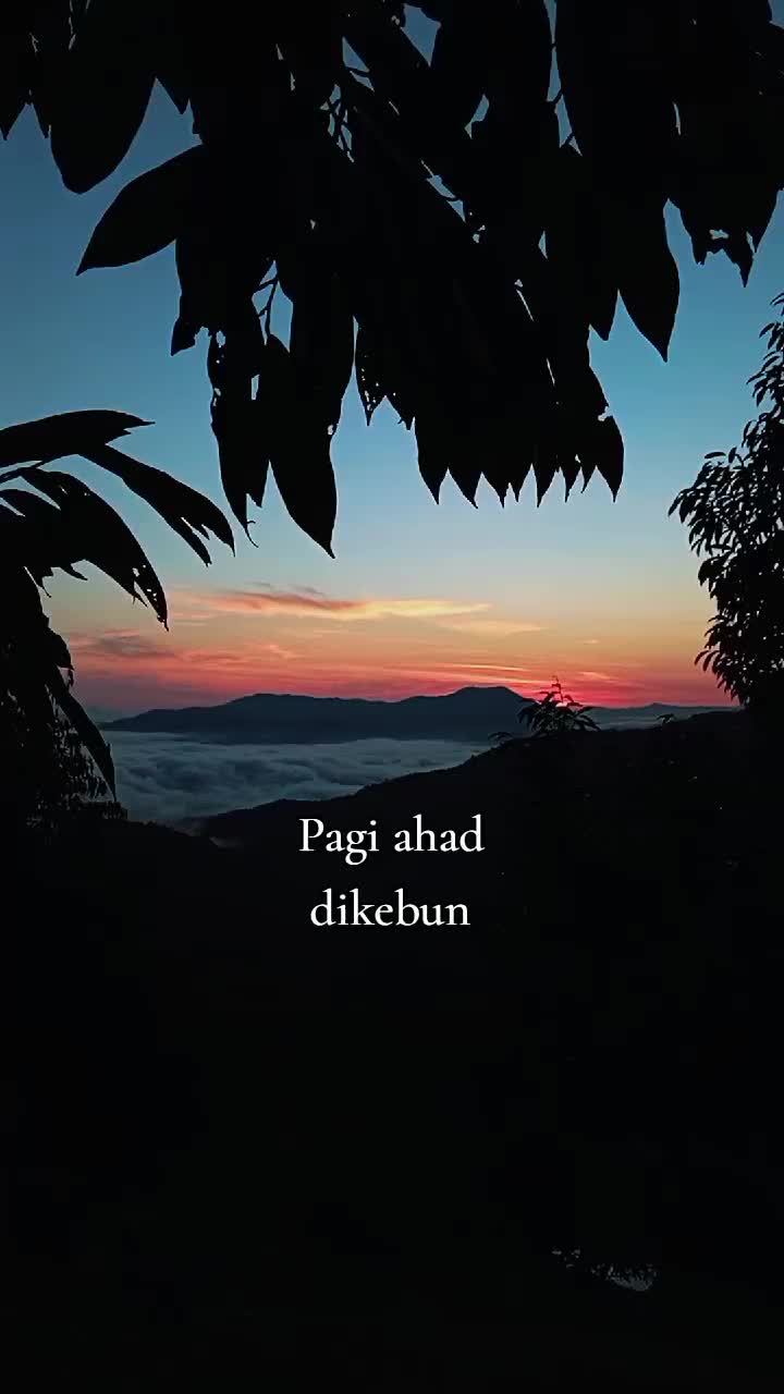 @ADY DURIAN FARM  🌳🚶