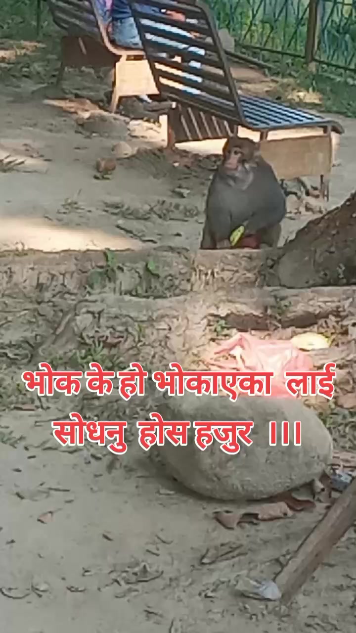 @Gopal koirala