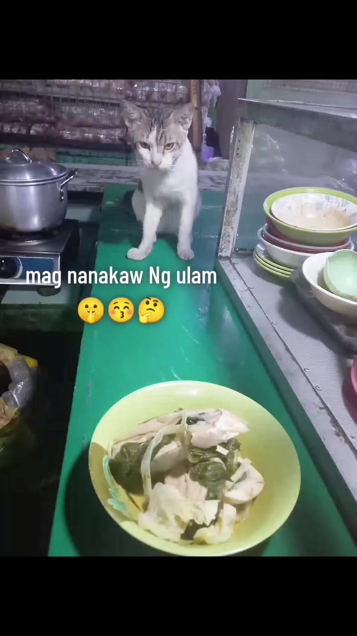 @biboytuazon14