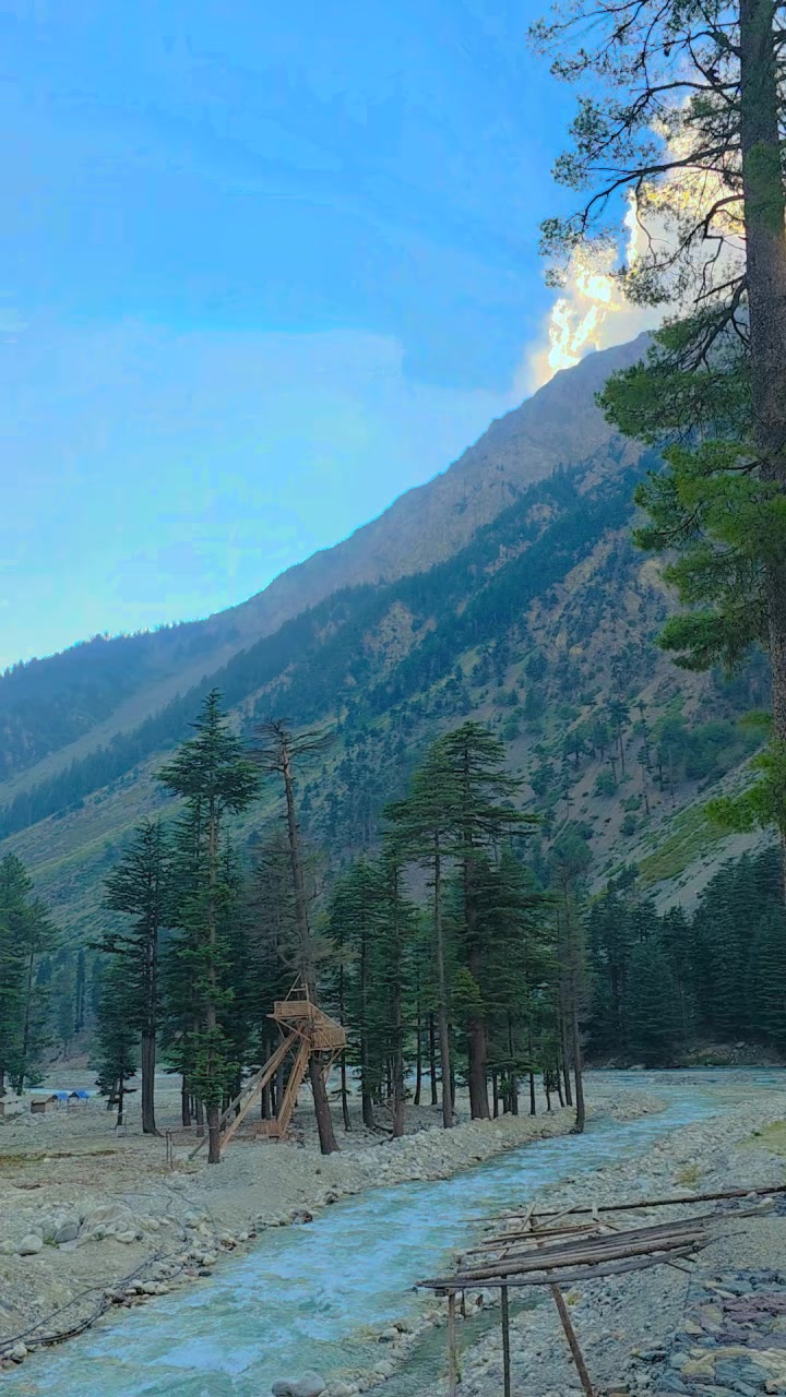 @jazib.warraich50