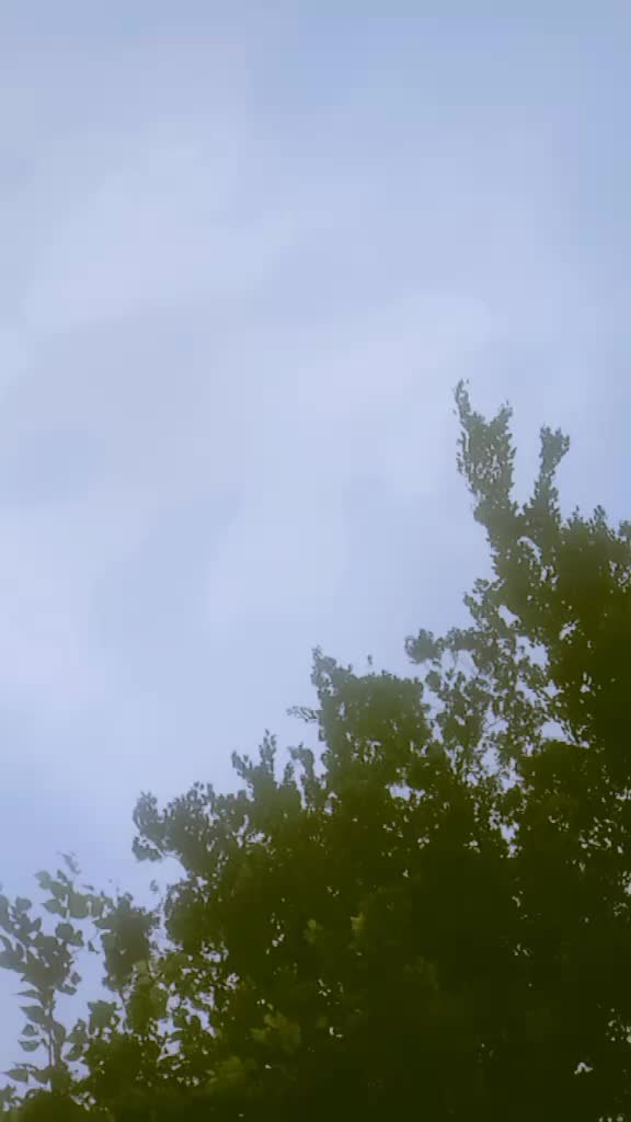 @kanxiðŒð°â€ïž Tharuni