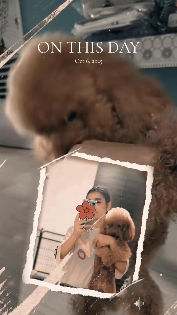 @๐ธ๐ฌ๐๐ฆ๐๐ป ๐๐๐ ๐จ๐๐ฃ๐ค๐