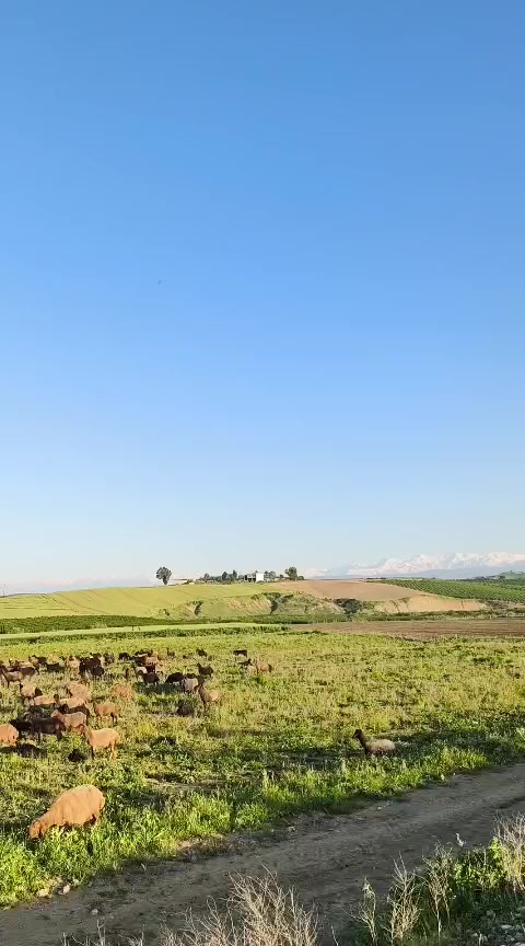 @yusuf göncü