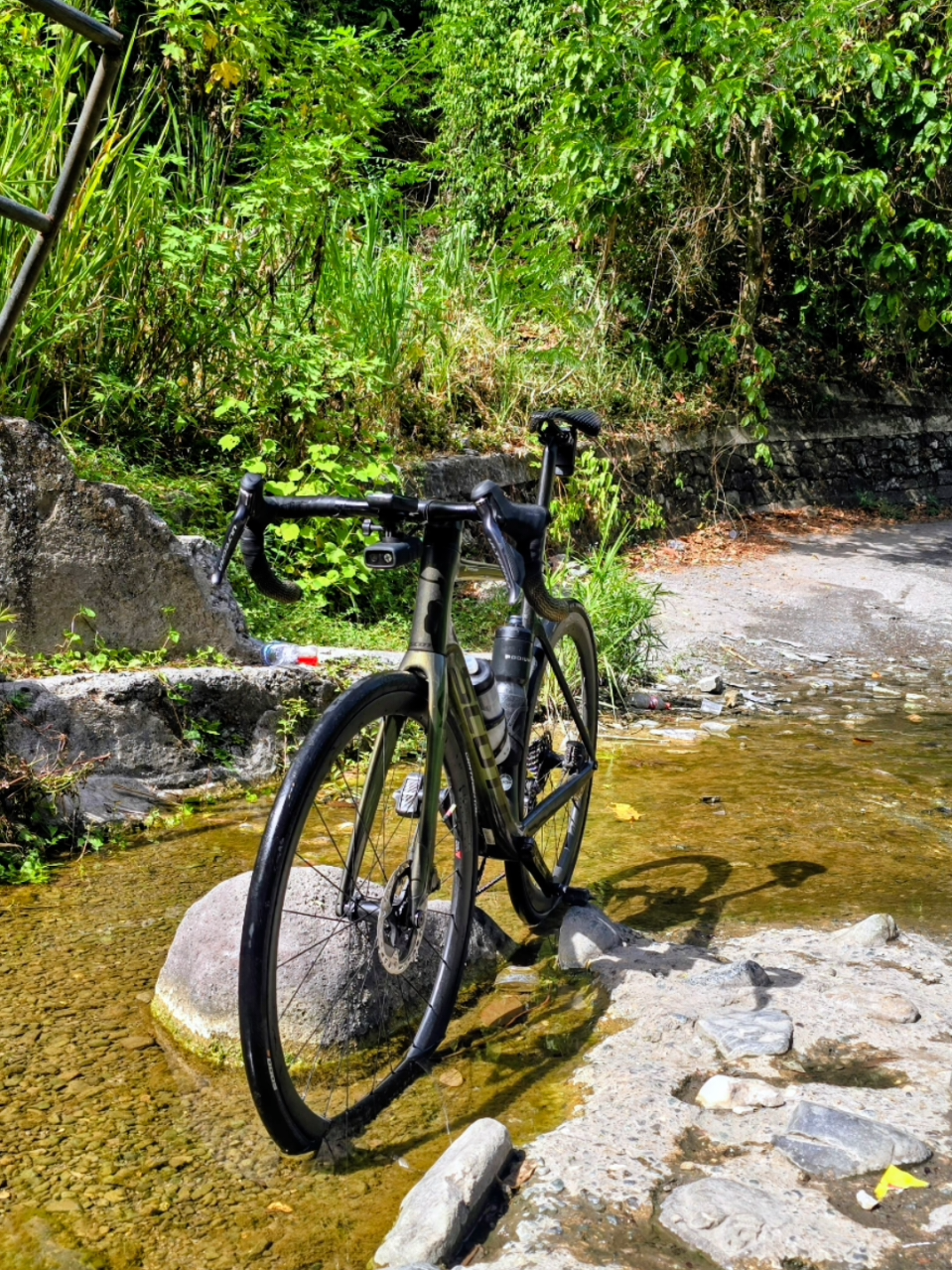 @pedalpulse