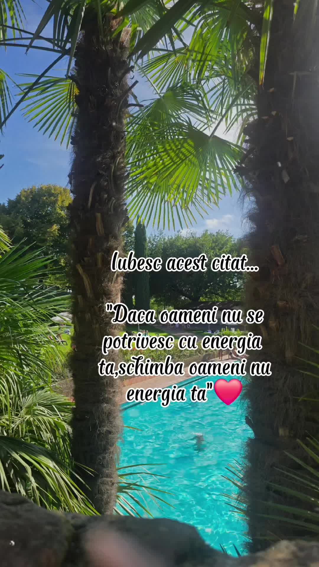 @ank_andreescu867