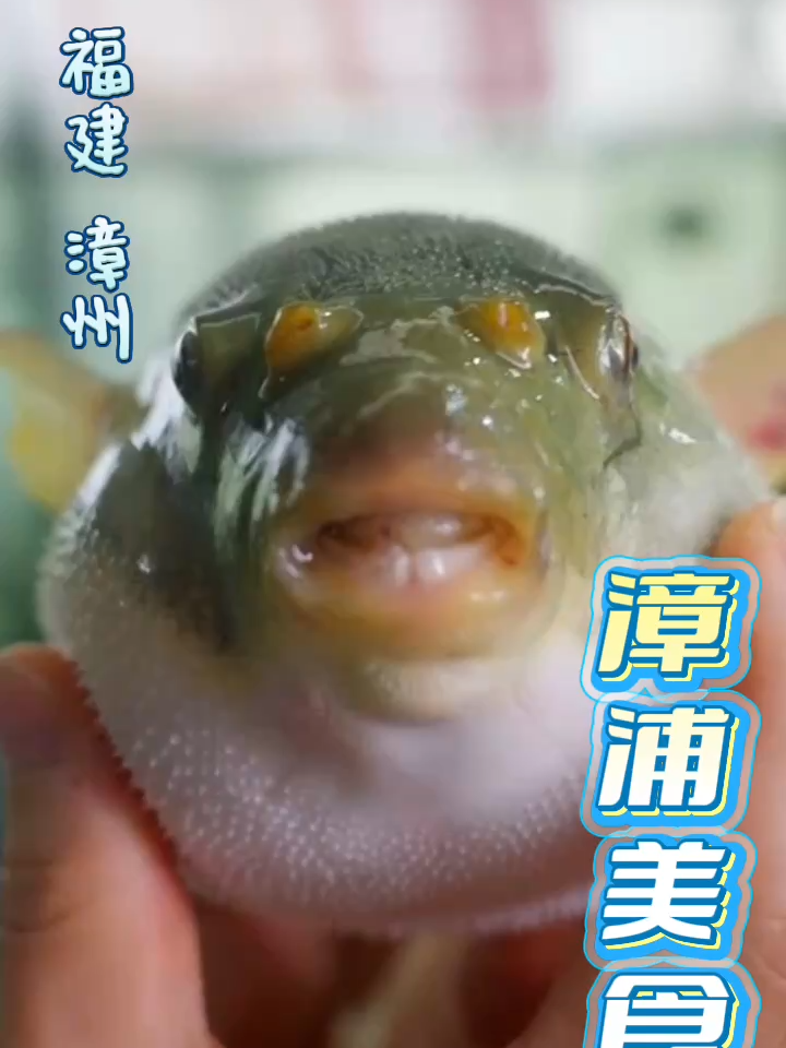 @闽南风~
