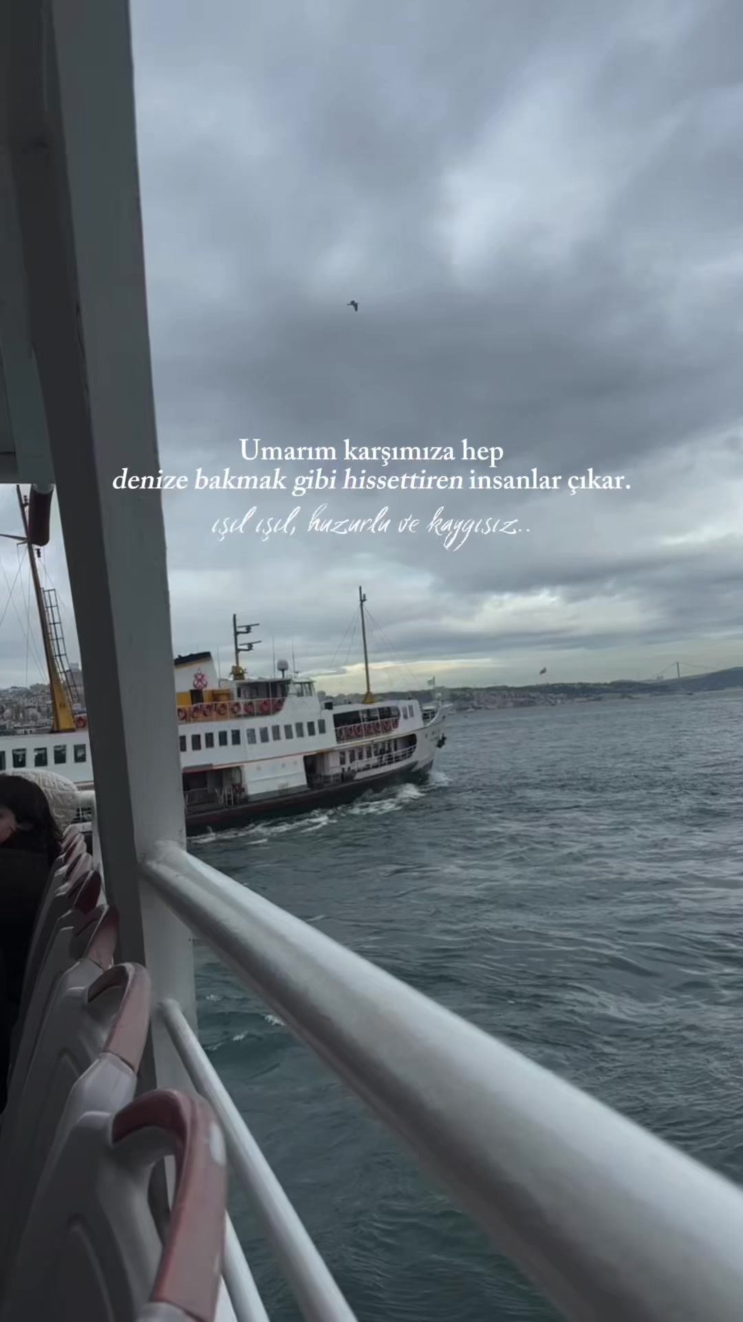 @lmnmood