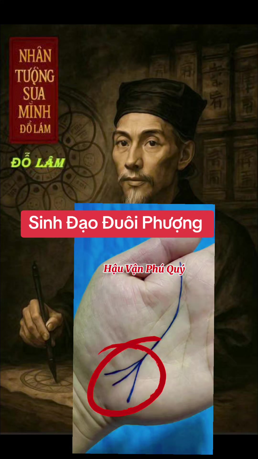 @Nh&acirc;n Tướng Sửa M&igrave;nh (Đỗ L&acirc;m)