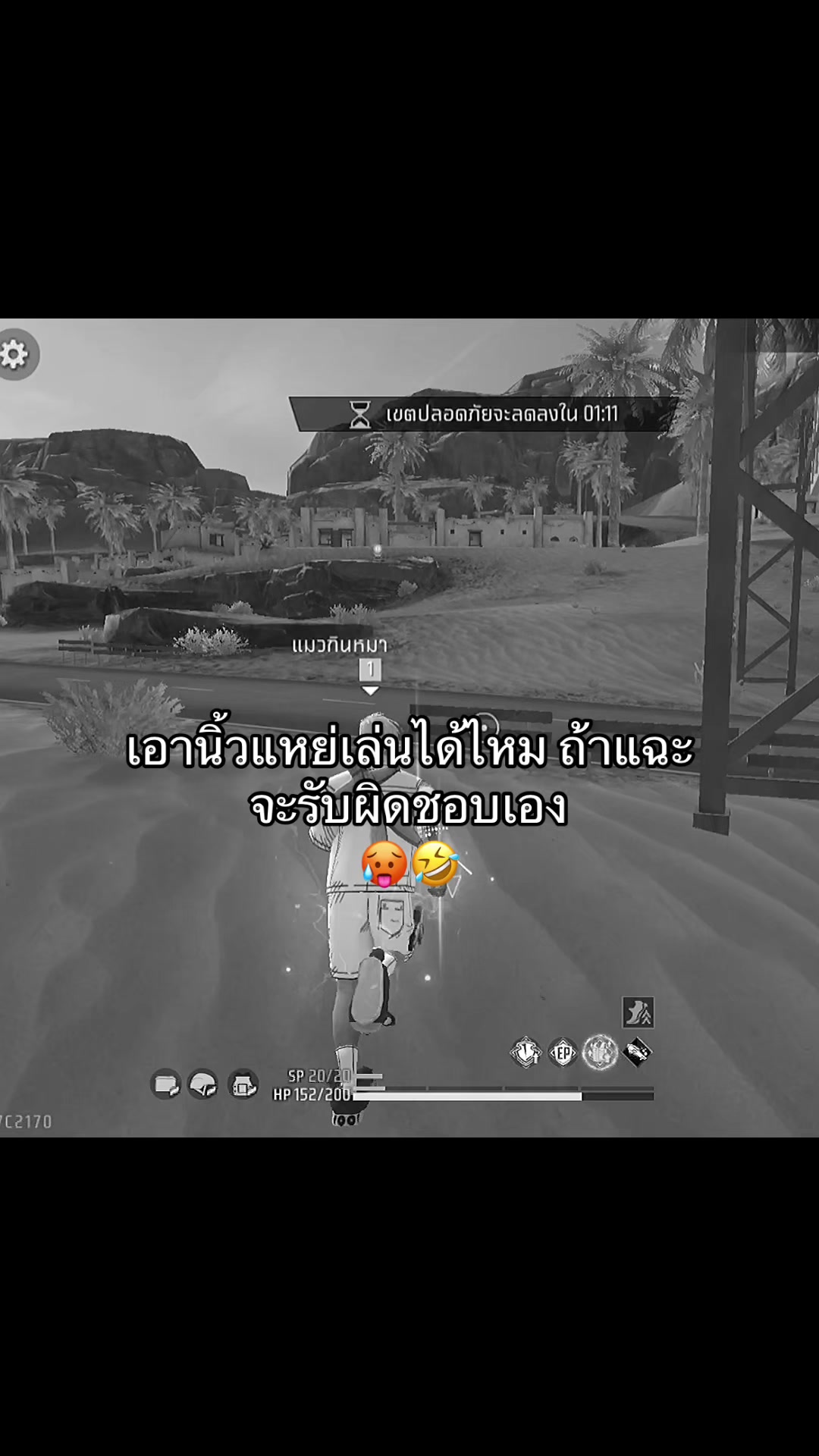 @แมวไม่มีเจ้าของ