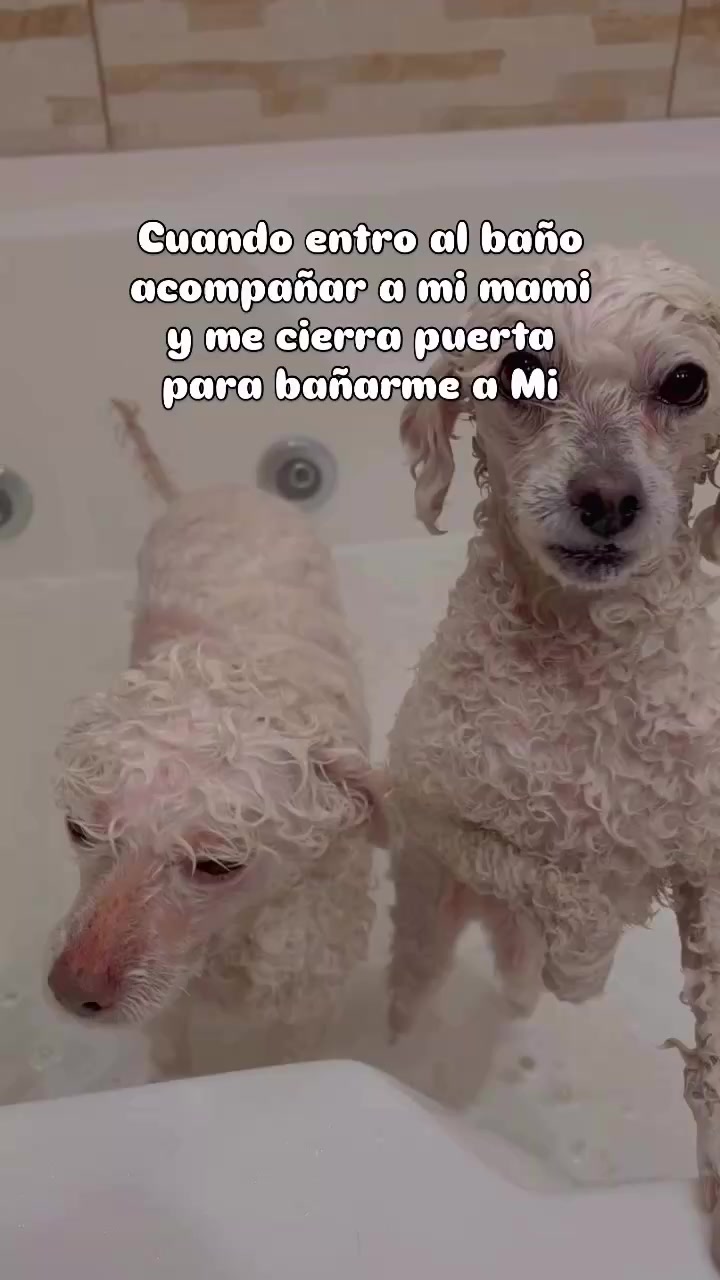@Jassmiin Tamarax
