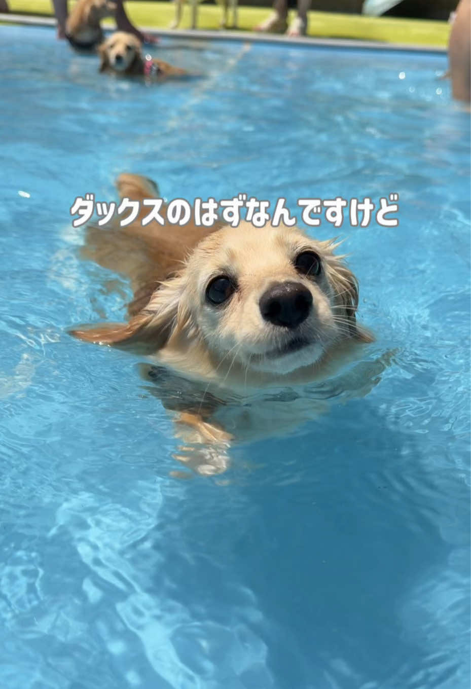 @🎀もあらなまぅ🎀