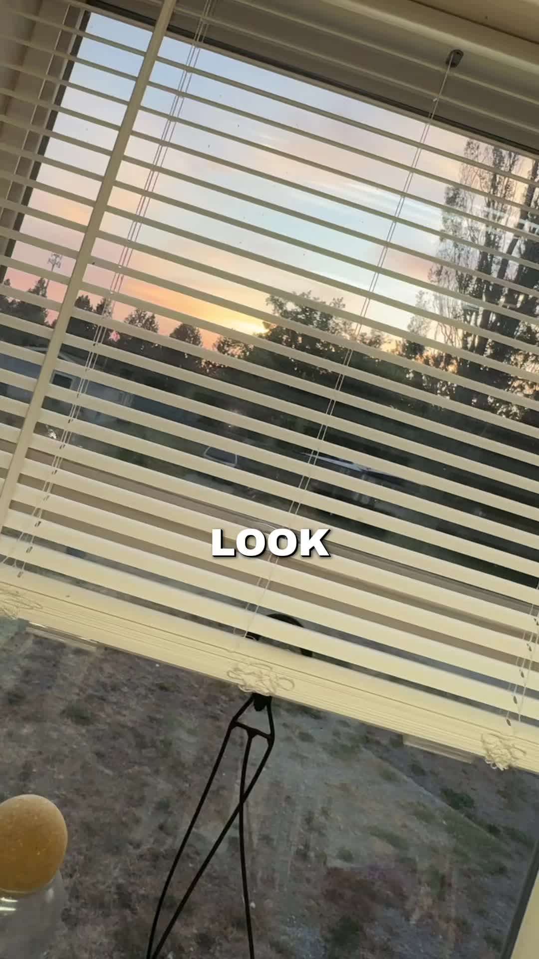 @Jacob[TTS]Pepaw