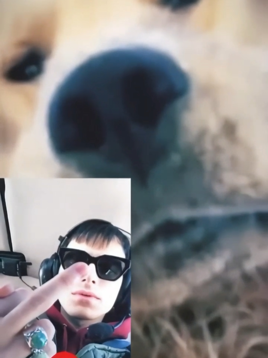 @miniboss