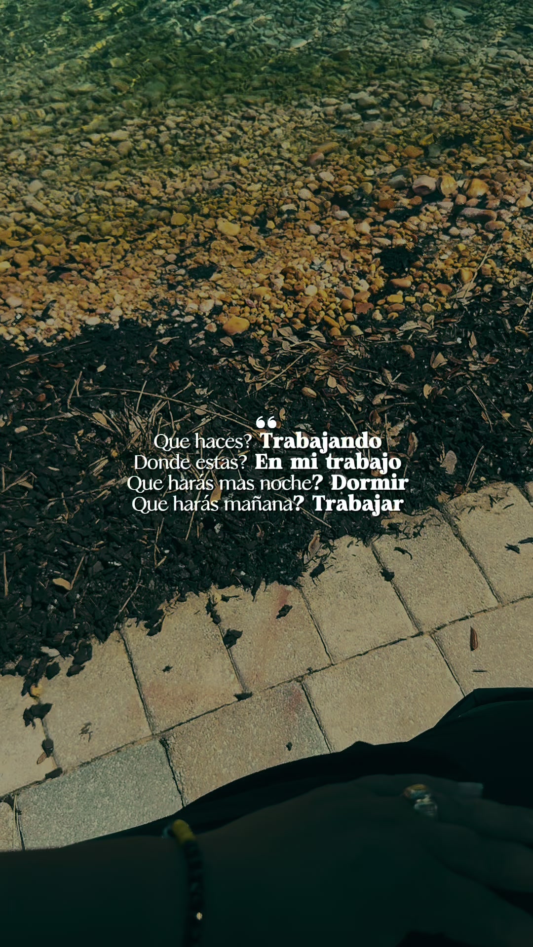 @✨️Dra.Deyliana✨️