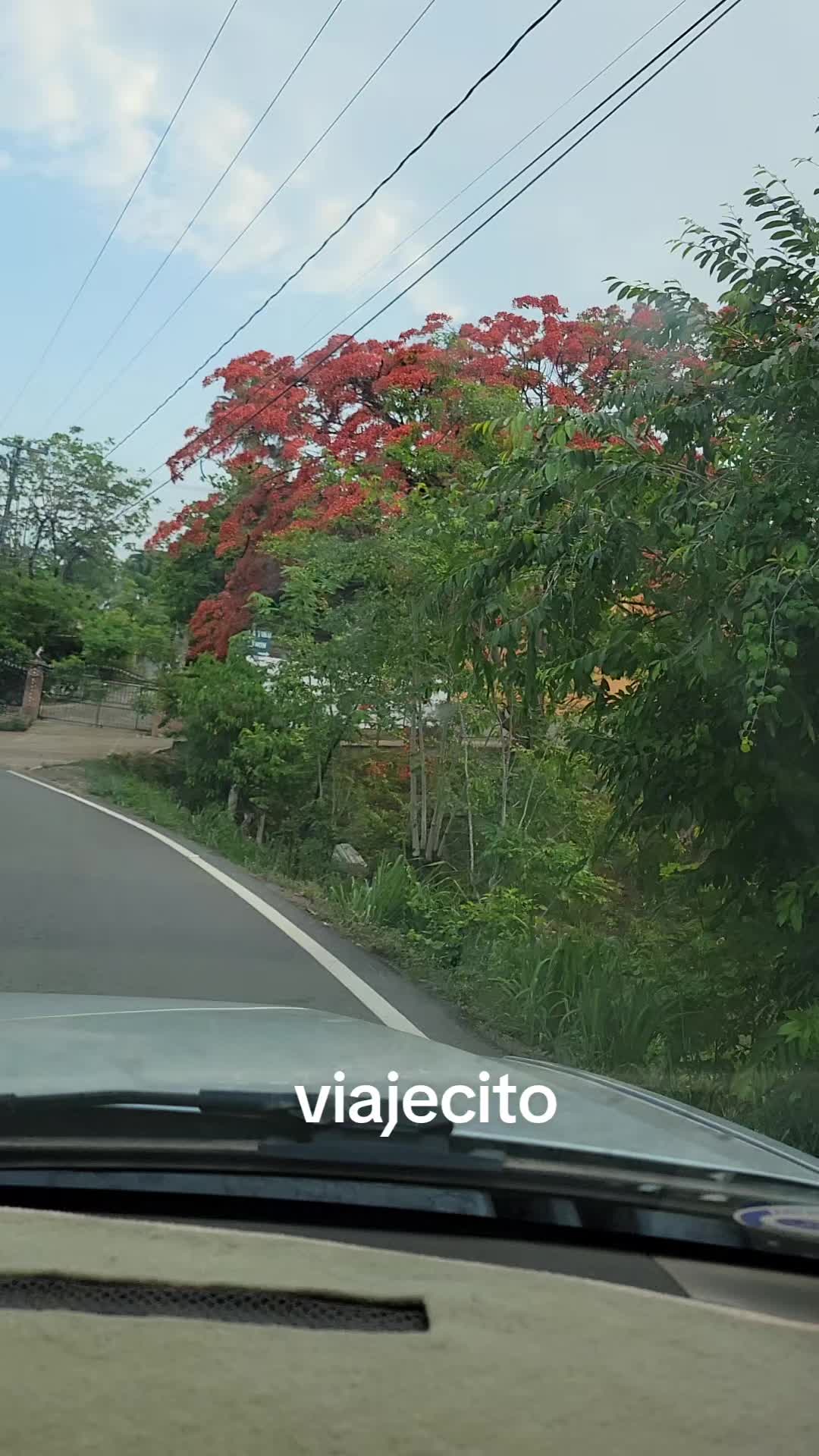 @lucymanzano