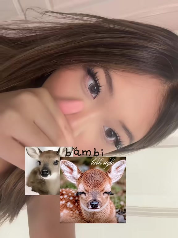 @laiis