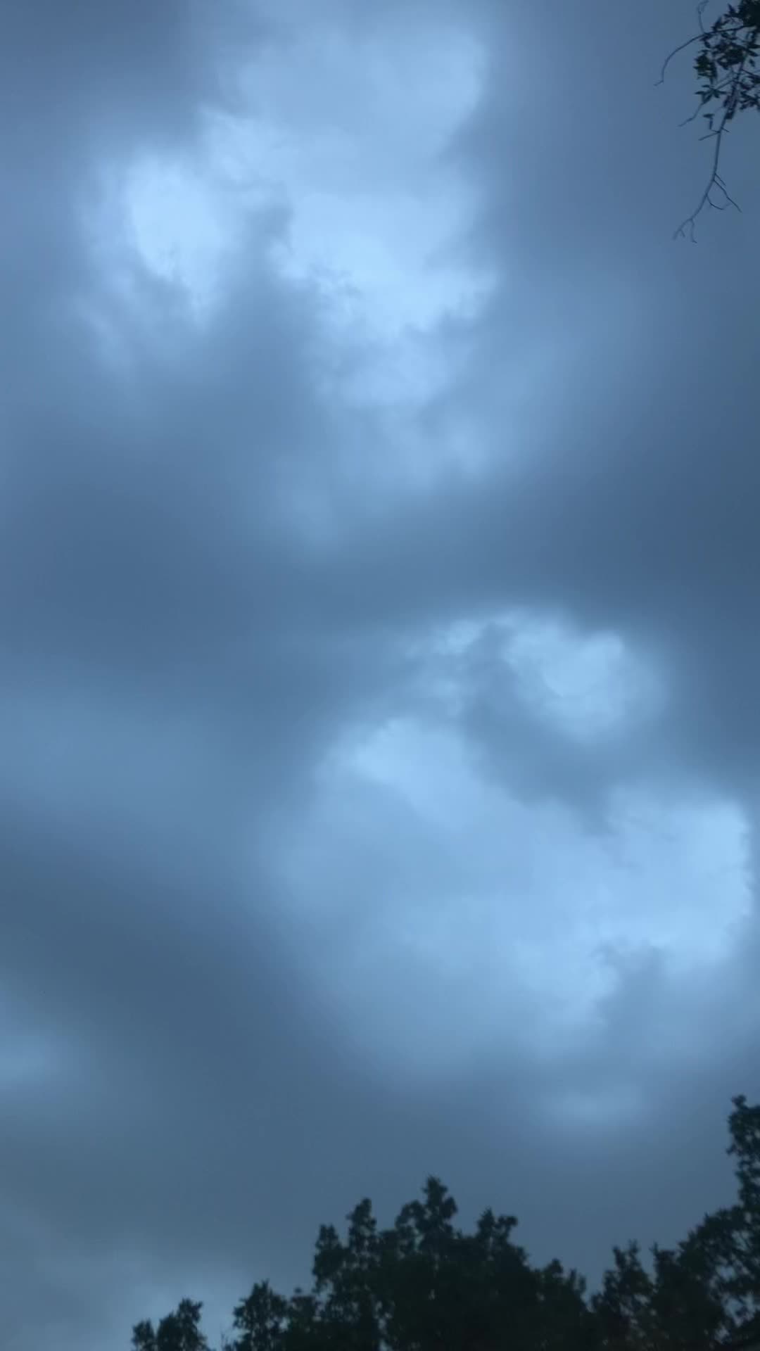 @Sara 🇨🇦