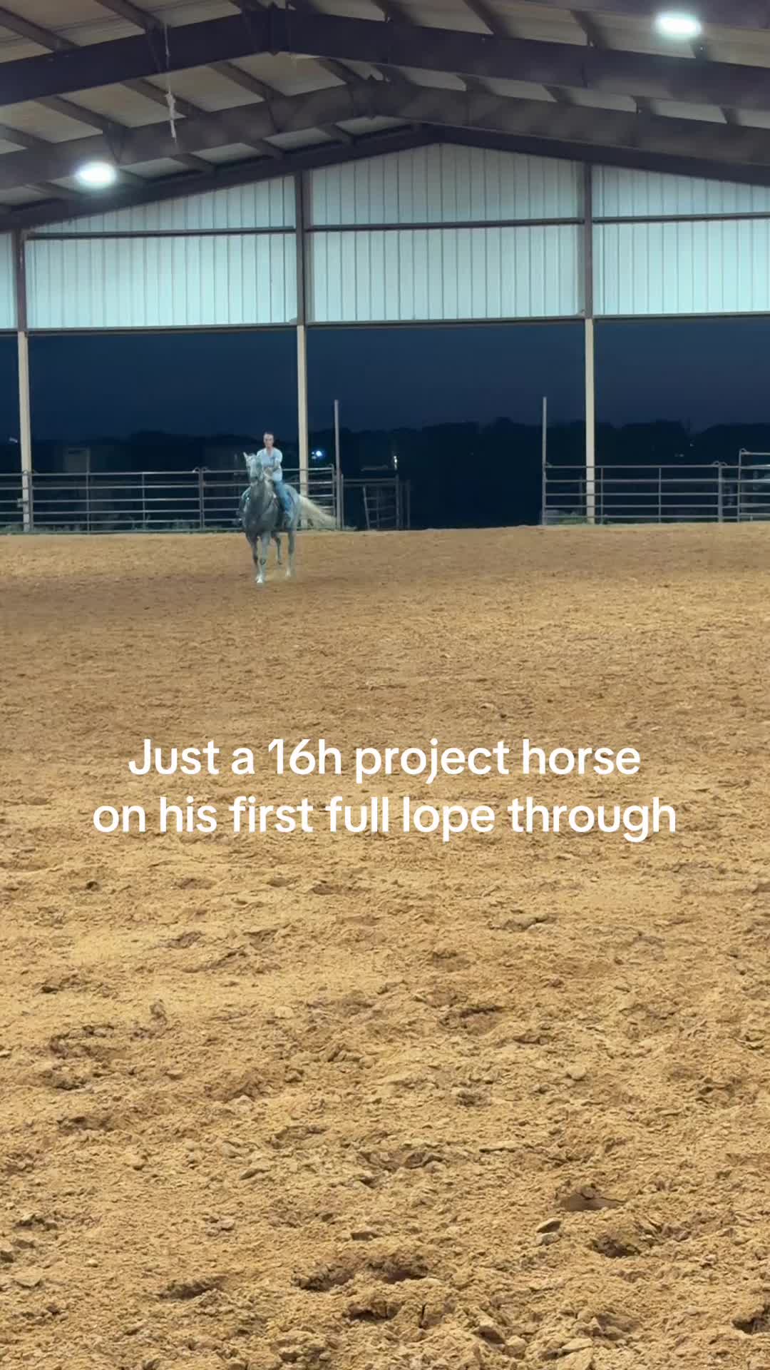 @josiemfmcclintock