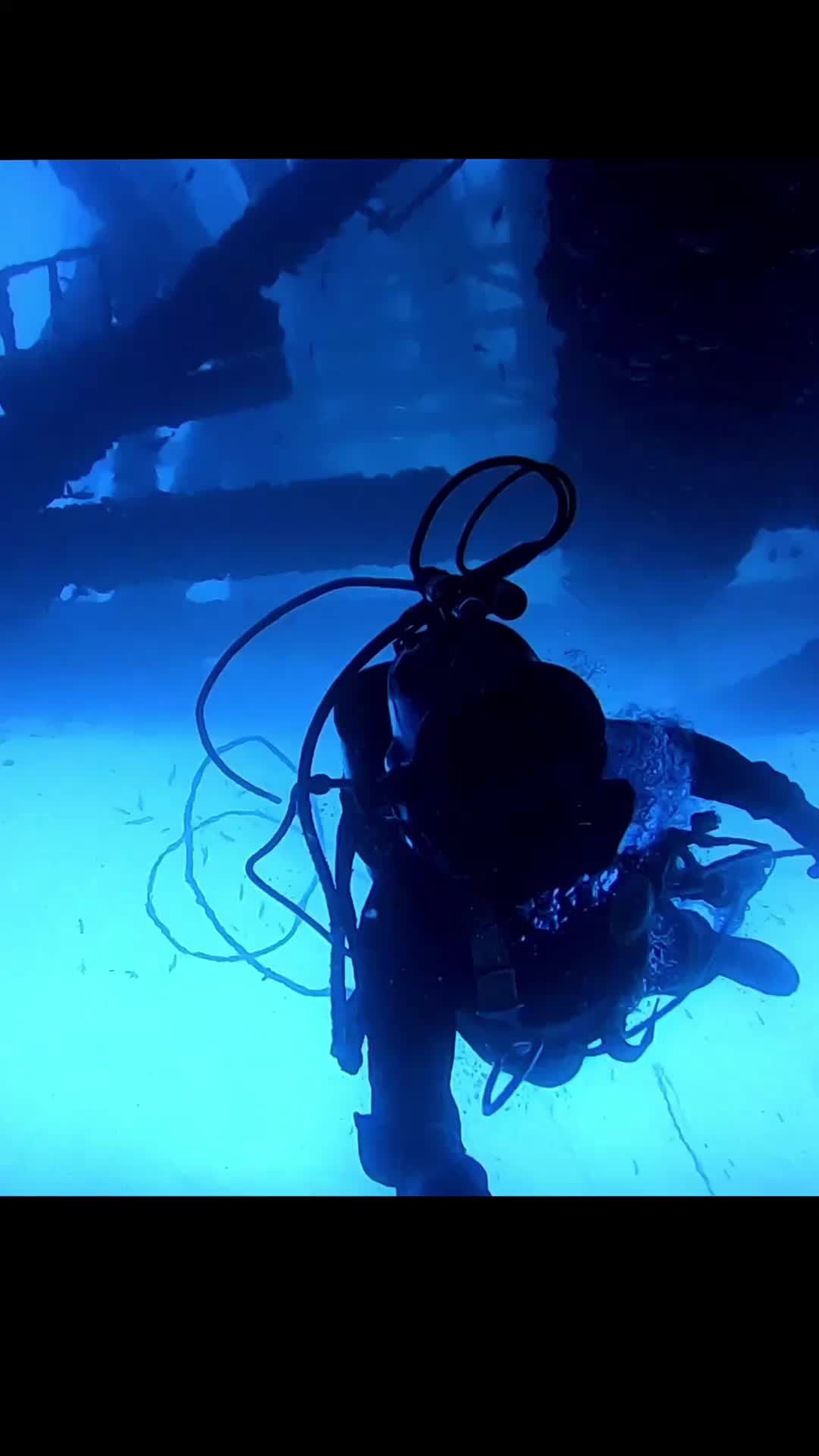 @DeepSeaAf