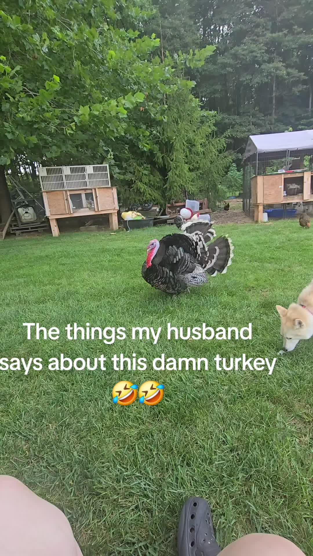 @ChelseyMartin